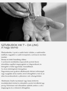 Képernyőkép 2026-10-07 150128